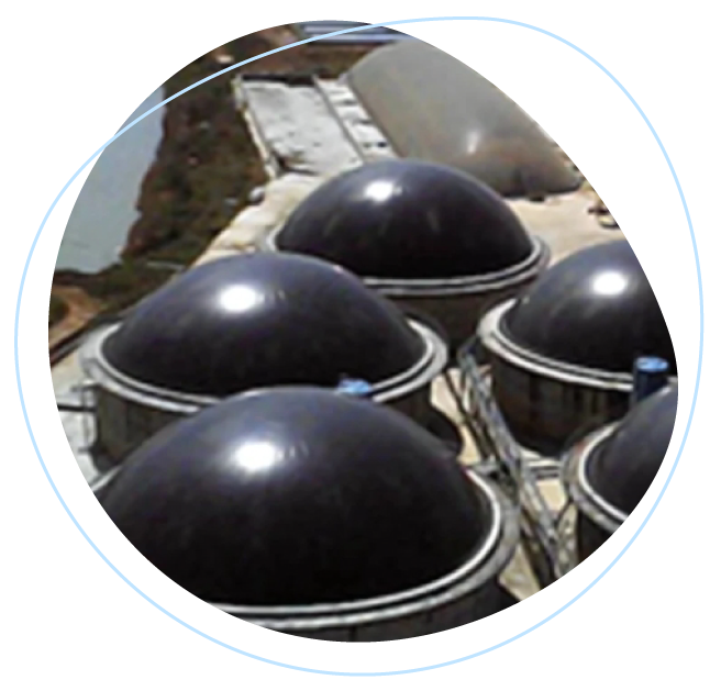 SPM_PetFood_D4_Re-Photo-02