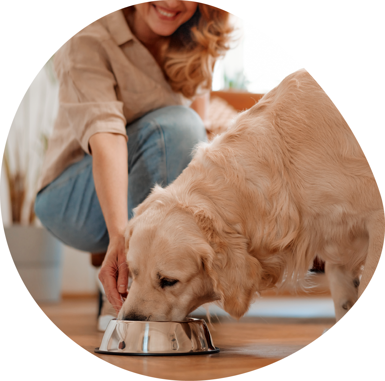 SPM_PetFood_D4_Re-Photo-Color-01-16