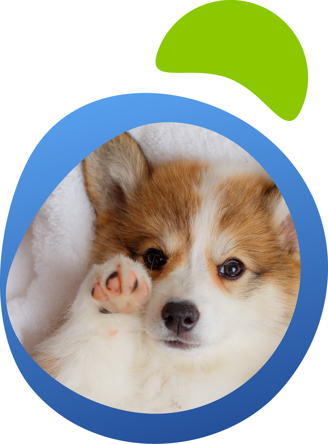 SPM_PetFood_D4_Re-Photo-Color-01-18