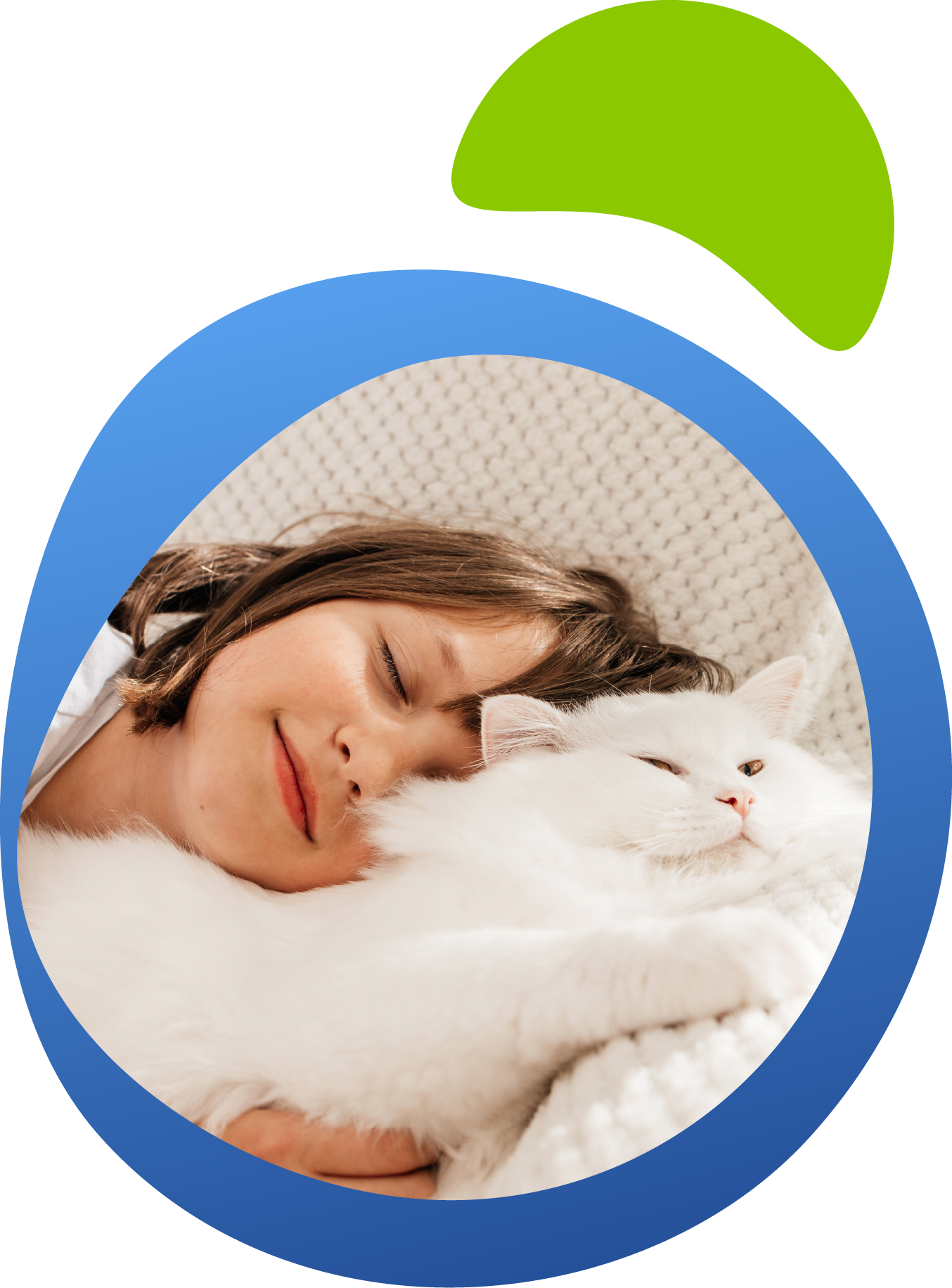 SPM_PetFood_D4_Re-Photo-Color-01-19