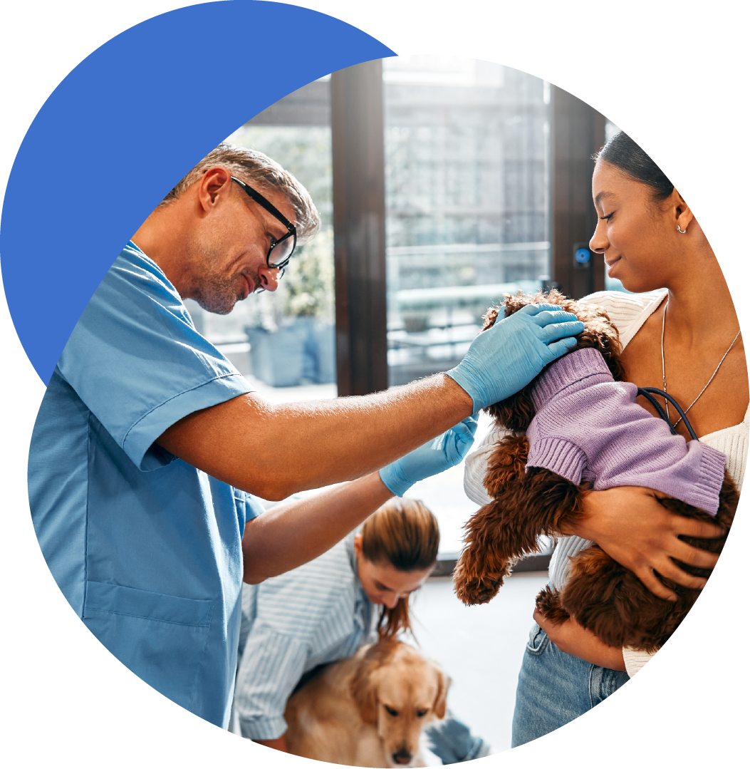 SPM_PetFood_D4_Re-Photo-Color-01-26